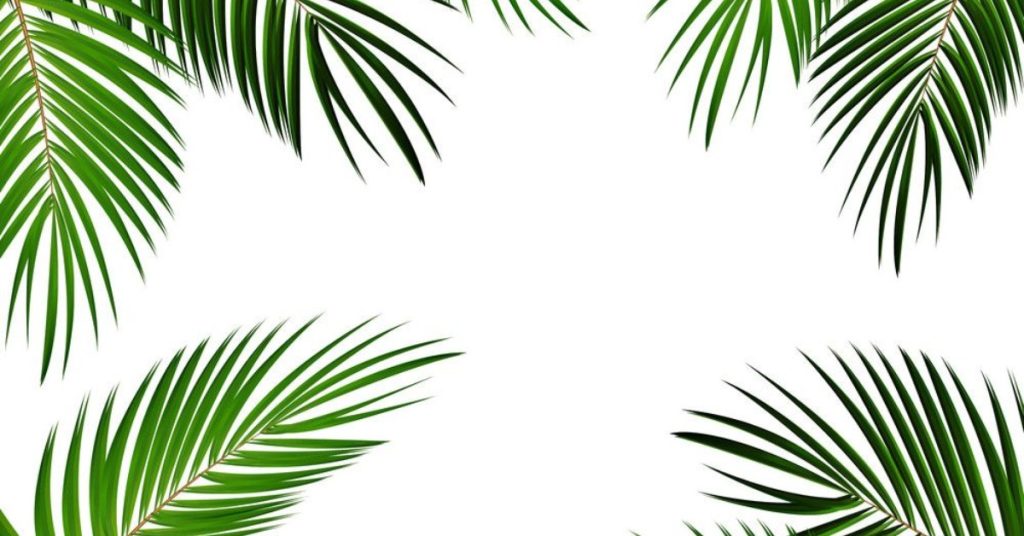 Have A Blessed Palm Sunday