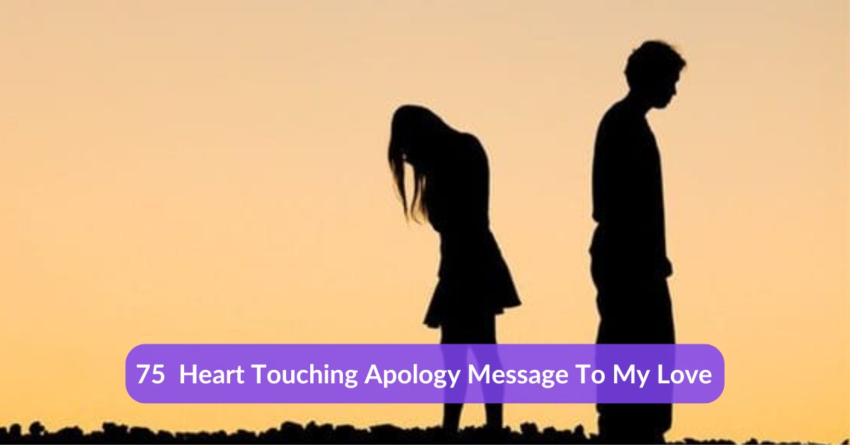 Apology Message To My Love
